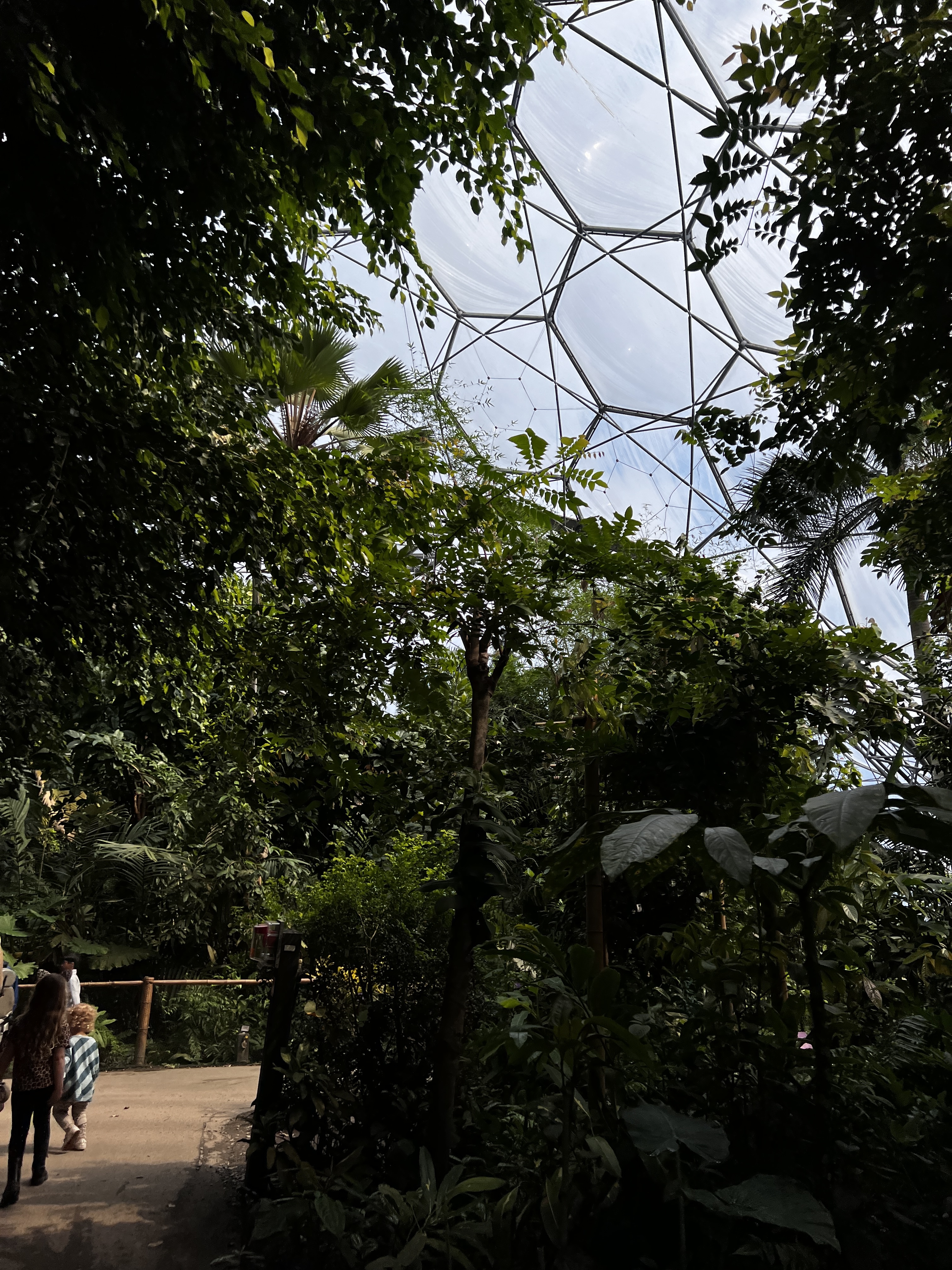 inside the rainforest dome